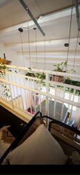 Jalan Besar (D8), Shop House #581843851